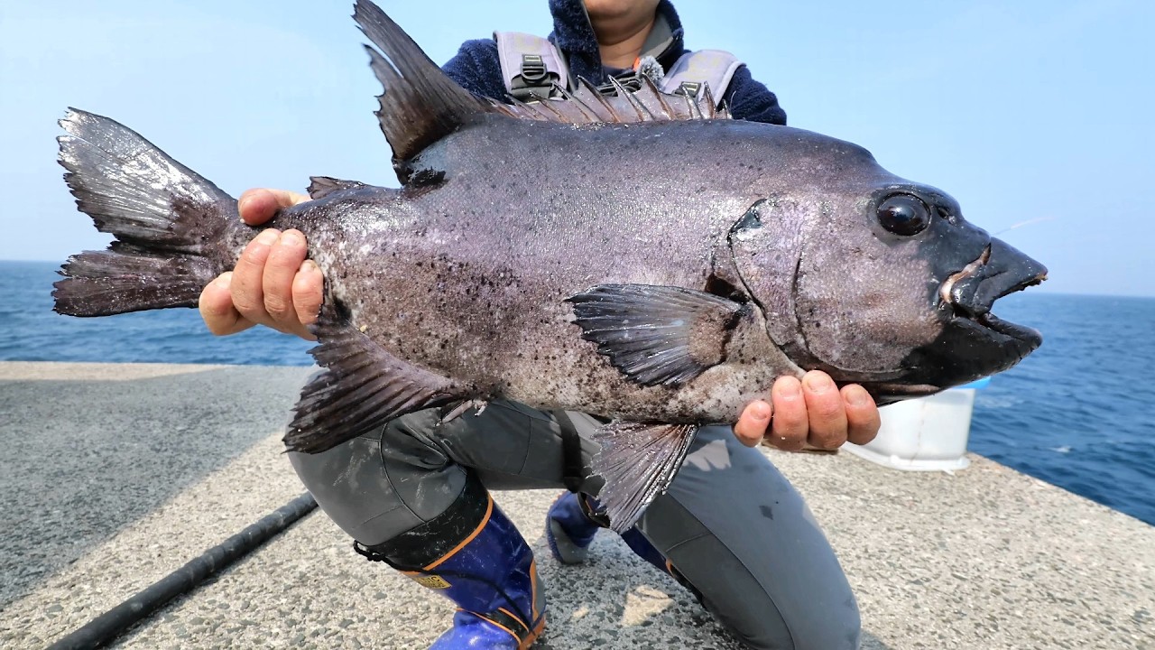 釣り番組の裏側を撮影していたら、番組記録に迫るとんでもない大物を仕留めてしまいました…
