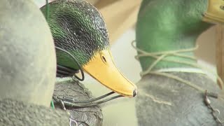 Arkansas duck hunting undergoes changes as season kicks off Saturday