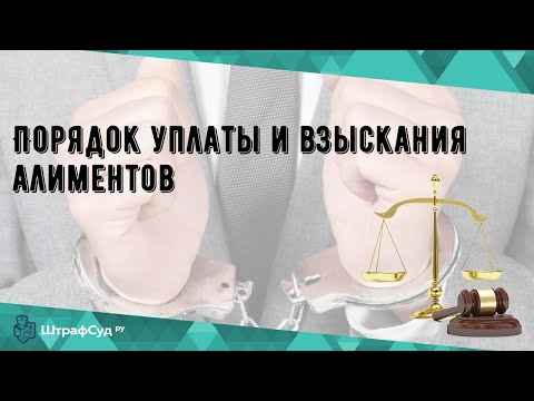 Порядок уплаты и взыскания алиментов