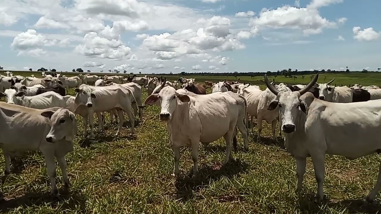 Tenha bons contatos de negócios. 