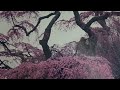 高松夜曲(都春美唱)