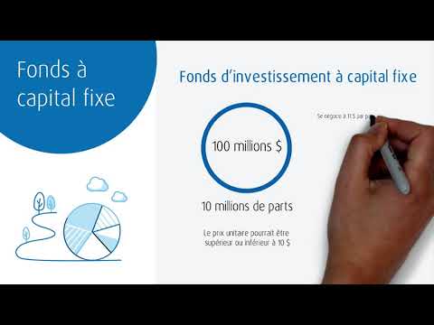 Vidéo: Qu'est-ce qu'un fonds à capital fixe ?