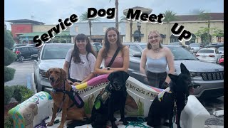 Service Dog Meetup | Barnes and Nobles Edition