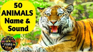 50 ANIMALS Name and Sound | English to Hindi | Animals for kids | WATRstar screenshot 4
