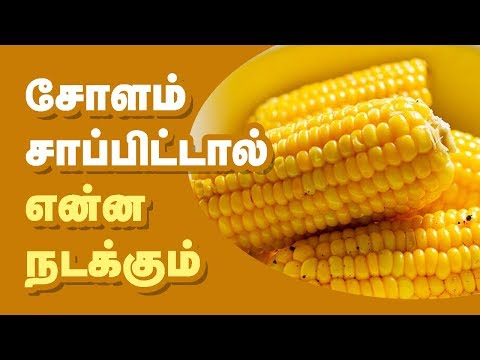 சோளம் சாப்பிட்டால் உடலில் என்ன நடக்கும் ?