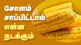 Health benefits of Corn in Tamil screenshot 3