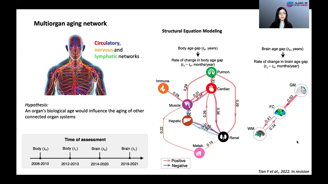 OHBM 2022 | 206 | Symposium | Ye Tian | Beyond brain age prediction: Crosstalk between brain age a…