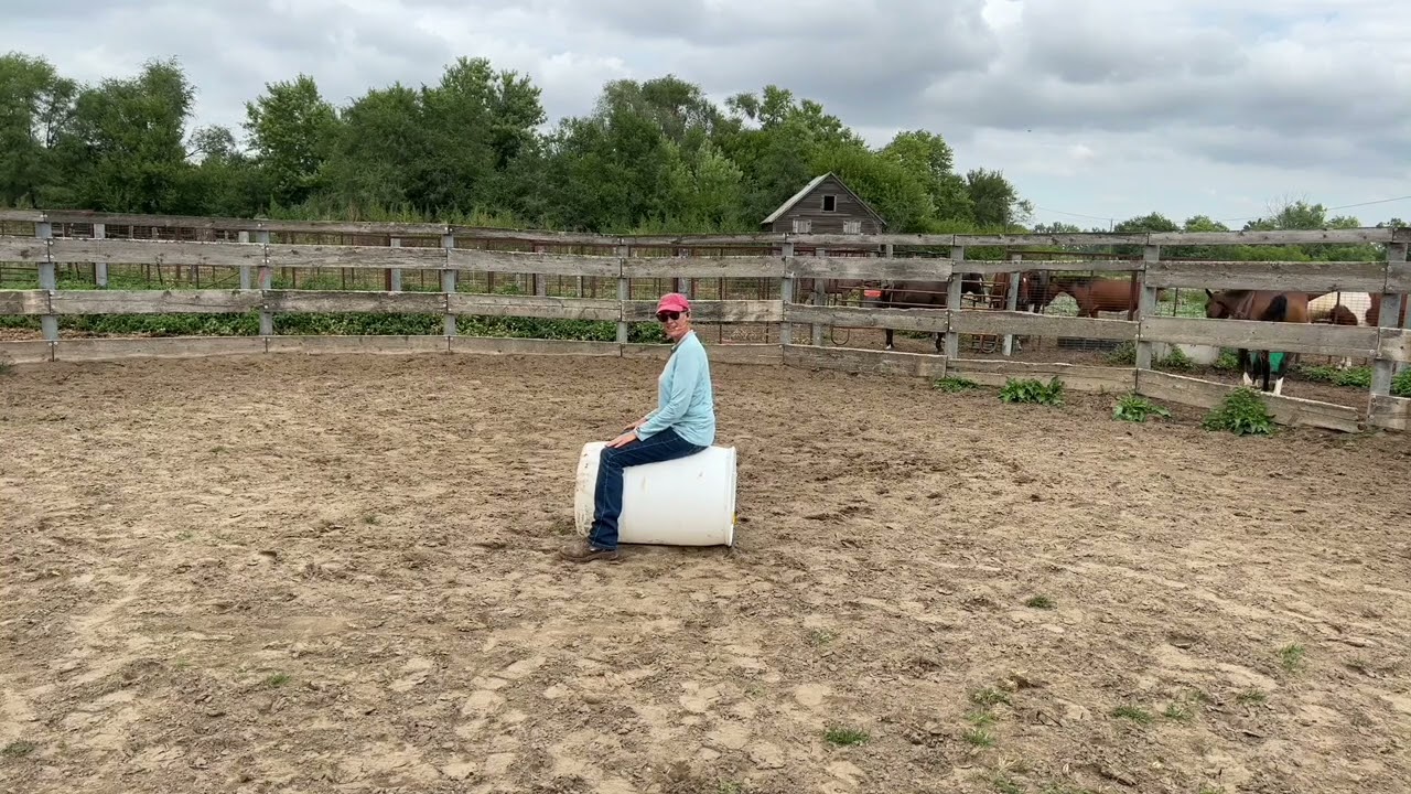 How Your Seat Effects Your Horse & What to Do About It YouTube