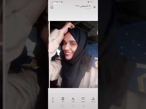 الدبابين اسود الغابه 