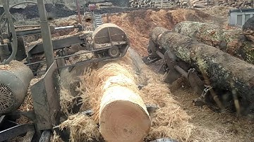 Debarker vs Hickory log (sawmill/logging video)