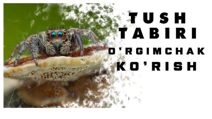 Korgazmada kokraklar tushib ketdi Korgazmada kokraklar tushib ketdi