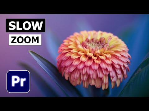 How To Add A Slow Zoom In Premiere Pro || Smooth Zoom Effect Tutorial