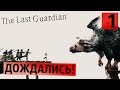 Это великолепно! ● Last Guardian #1 [PS4Pro]