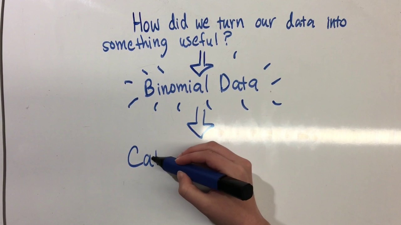 Statistics Research Project