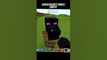 MINECRAFT HACKS #viral #shorts #short #status #hacker