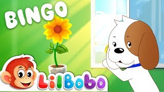 Bingo - Grow A Plant | Little Bobo Nursery Rhymes | Flickbox Kids