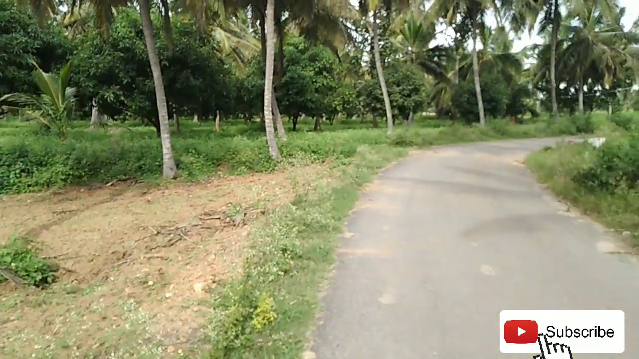 Agriculture land for sale YouTube