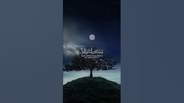 ارح سمعك بتلاوة القرآن | تلاوة نادرة 🎧❤️ #تلاوة_خاشعة #تلاوات_نادرة #تلاوة_مميزة