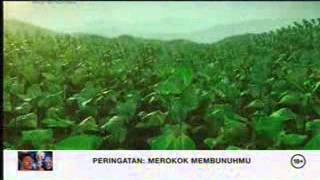 Globaltv La Menthol 21 57 1103