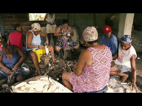 فيديو: لماذا استغرقت البرازيل وقتًا طويلاً لإلغاء العبودية؟