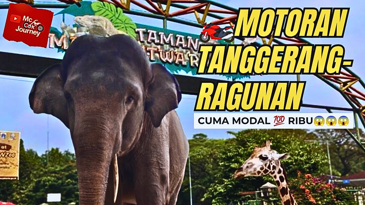 perjalanan seru Tanggerang ke Ragunan Modal 100 Ribu,Real Test Hemat!