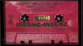 INDUNG-INDUNG[terbaru Domi Tukan cover]