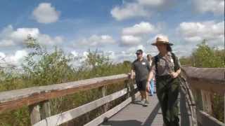Everglades Mountains and Valleys: Conclusion