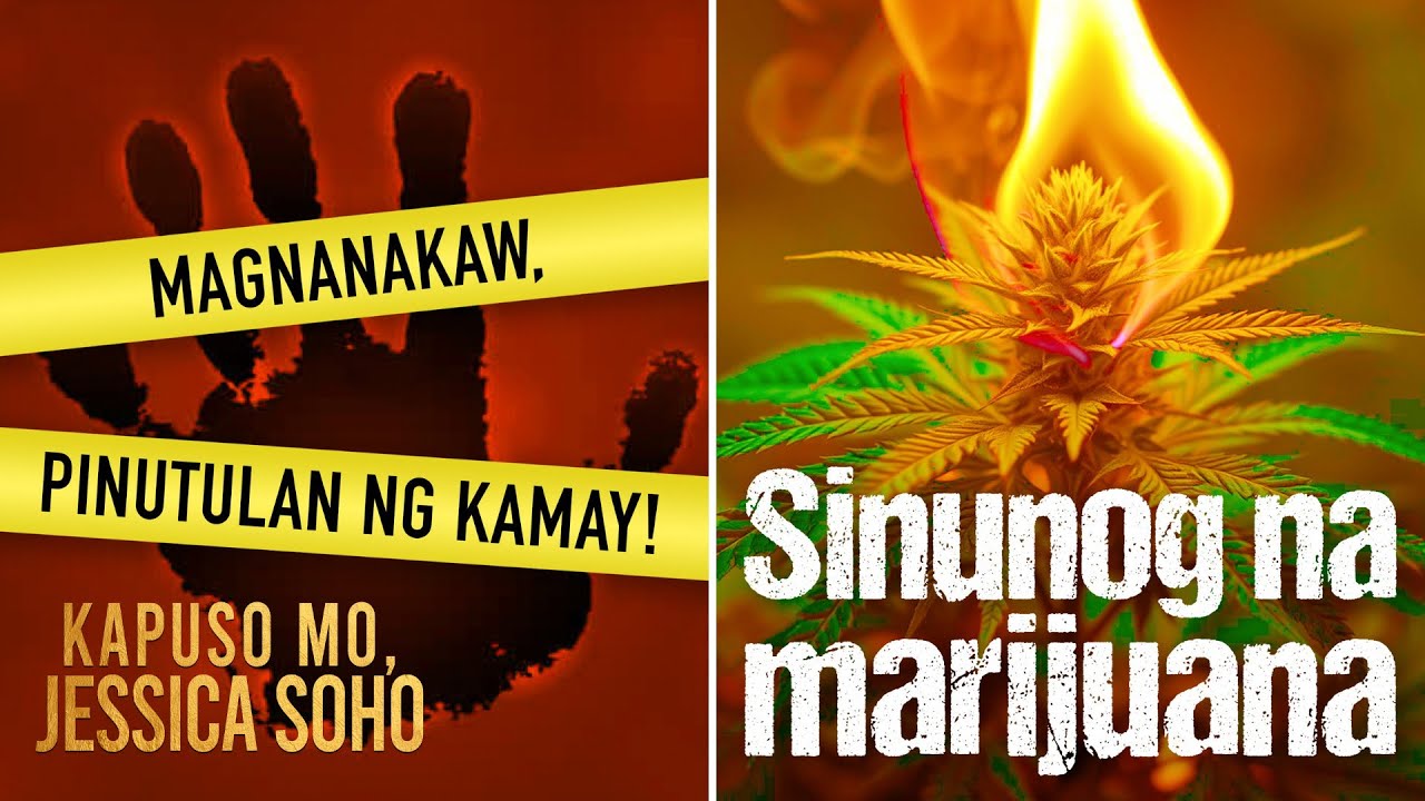 Magnanakaw, pinutulan ng kamay!; Sinunog na marijuana | Kapuso Mo, Jessica Soho