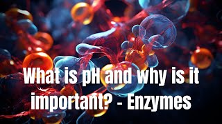 ‍ What is pH and why is it important? - Enzymes - Biology ?‍