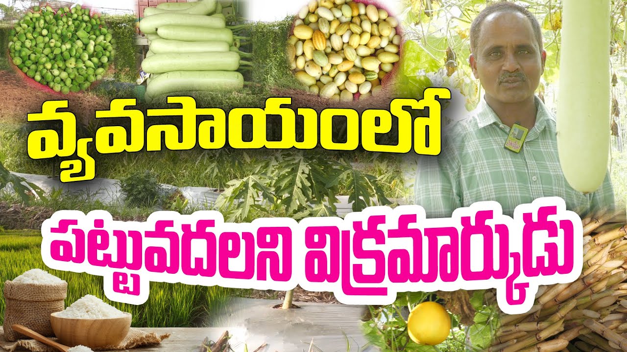 Натуральное земледелие на 30 акрах | Рамарао