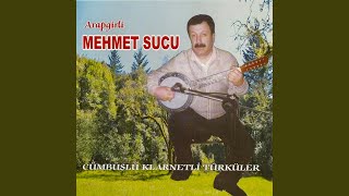 Duran Ağabey