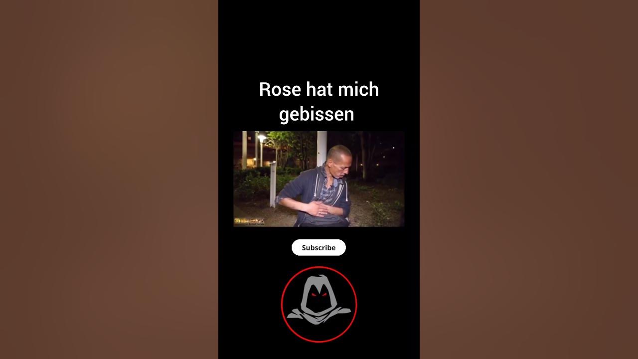 Aua Rose hat mich gebissen Meme YouTube