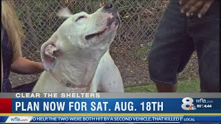 Clear the shelters locations