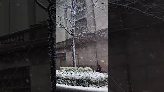 Heavy Snowfall Nyc