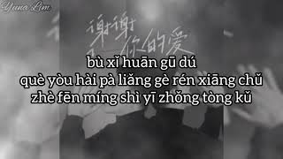 #TOP5 Xie Xie Ni De Ai 谢谢你的爱 (terima kasih atas cintamu) Jin Run Ji 金润吉 Lyrics