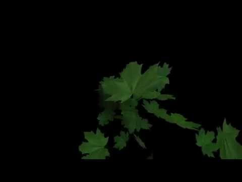 Free Leave particle - Trapcode Particular 2