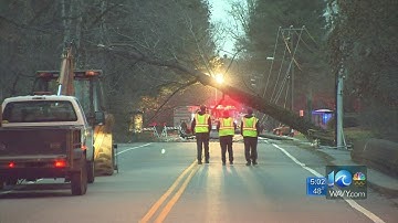 Power restored after fallen tree caused outages in Williamsburg