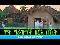 ሞት ግራዝማች ዘርአ በኺት ጸሓፊ ወልደኣብ ወልደማርያም 