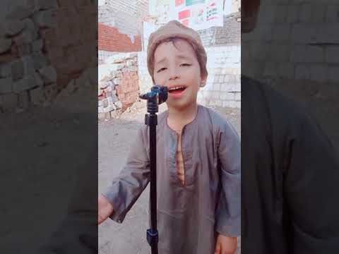 انا بسال النجوم كل ليله عليك شكرا لكم من القلب يوميات ربيع وسعيد بني سويف