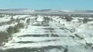 Зайцам пришёл конец....