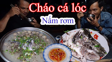 Cháo cá lóc nấm rơm @minhtamguppy