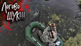 видео: 🔴 Нашел ЛОГОВО ГОЛОДНЫХ ЩУК!!! Ловля щуки на колебалку!💥🔥👍 картинка: 🔴 Нашел ЛОГОВО ГОЛОДНЫХ ЩУК!!! Ловля щуки на колебалку!💥🔥👍