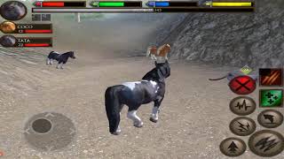 🐴Pony, The Little Horse ,  Ultimate farm Simulator, By Gluten Free game