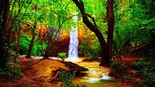 Relaxing Zen Music and Nature Sounds - Wooden Flute and Pan Flute - Meditation, Sleep Sound