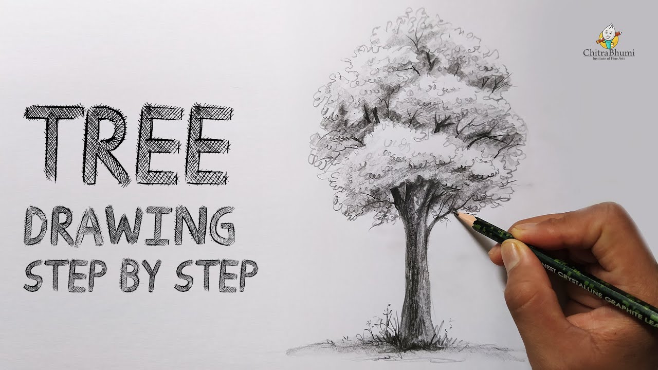 How To Draw a Tree | Easy Step By Step | Pencil Drawing Shading ...