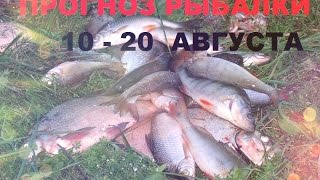 секреты рыбалки прогноз рыбалки 10-20 августа