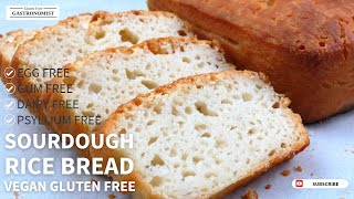 Gluten Free and Vegan Sourdough Rice Bread (No Binder, Psyllium Free, Xanthan Gum Free) Gluten Free and Vegan Sourdough Rice Bread (No Binder, Psyllium Free, Xanthan Gum Free)