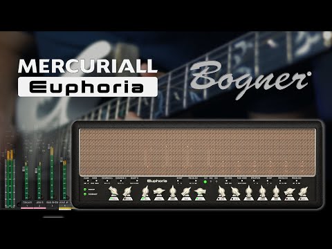 EUPHORIA - A New Song for a New Amp Sim (Bogner Ecstasy 101b)
