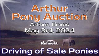 Driving Preview  Arthur Pony Sale