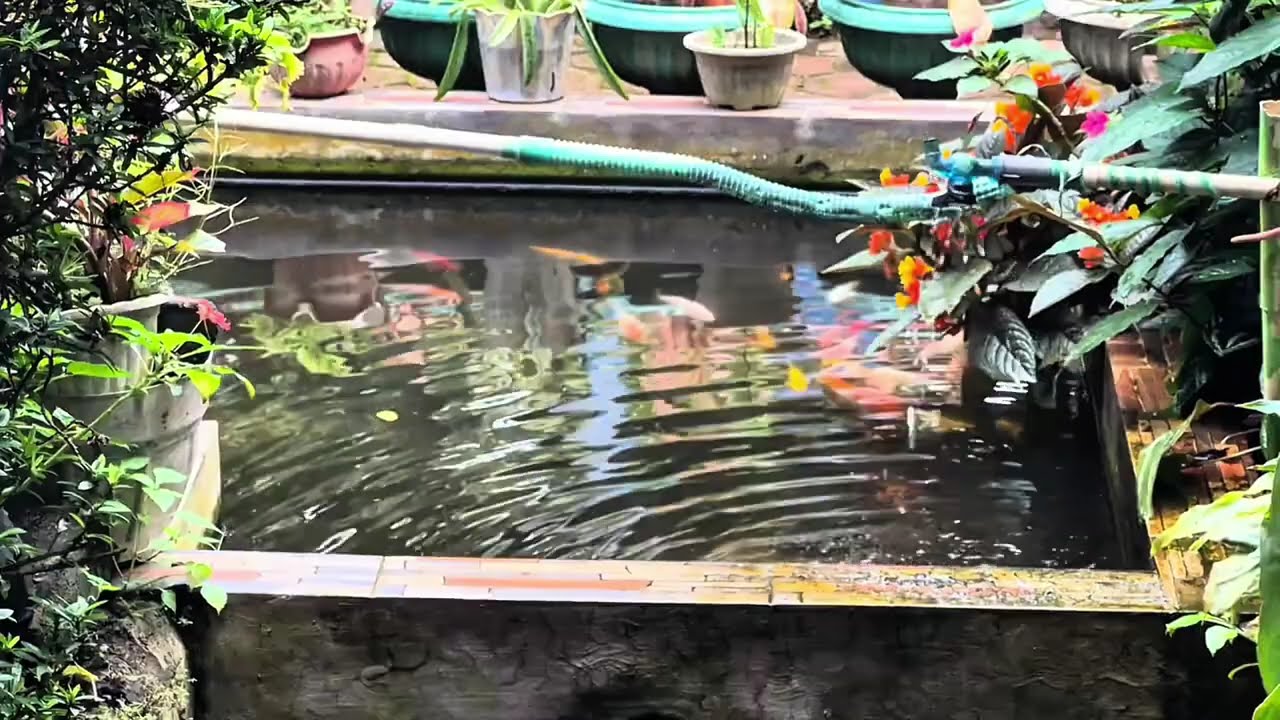 ARIF PUTRA FULL ALBUM 2026 | TAK SEDALAM INI | PALING POPOLER